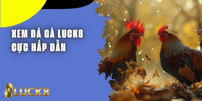 Xem Đá Gà Luck8 Với Đa Dạng Trận Đấu Cực Kỳ Hấp Dẫn