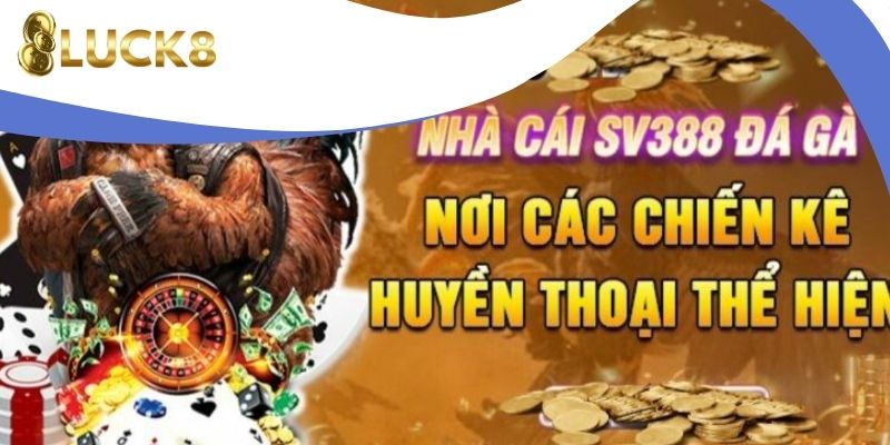 Khám phá nhà cái đá gà SV388 tại Luck8